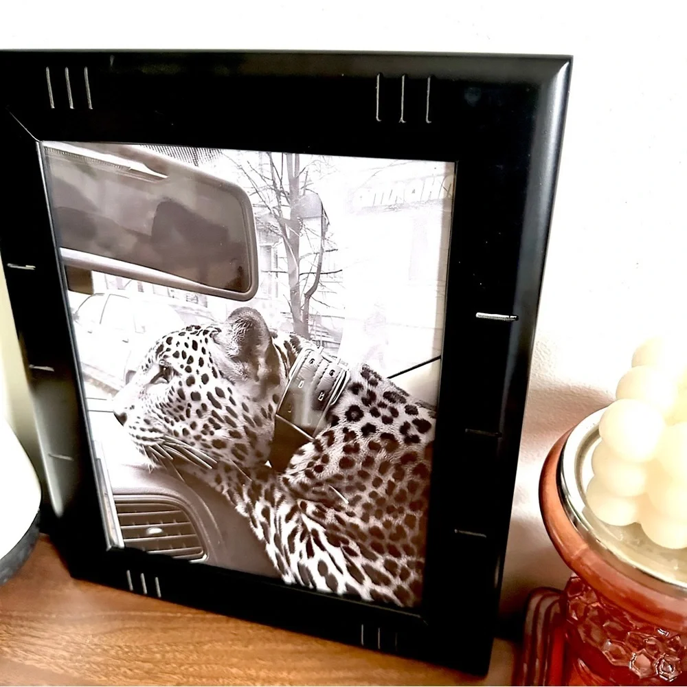 Wild Cat in the City Panther Cheetah Leopard Collar Car B/W Canvas Framed Print